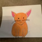Cat #7